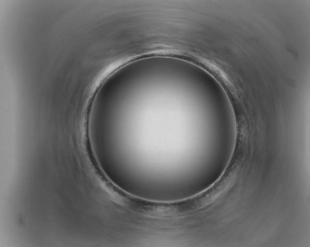 X0000113211375200909171525