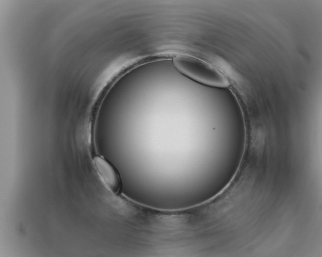 X0000113211376200909171525