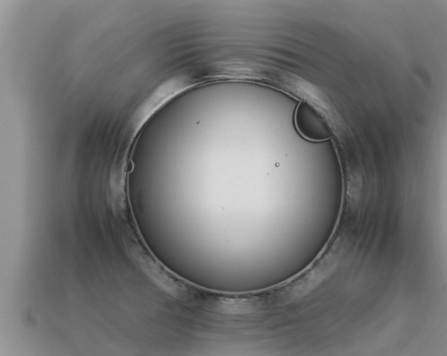 X0000113211378200909171525