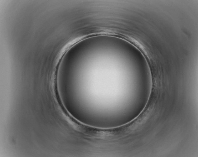 X0000113211379200909171525