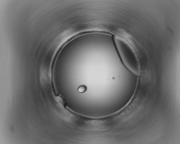 X0000113211380200909171525