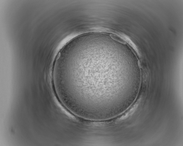 X0000113211381200909171525