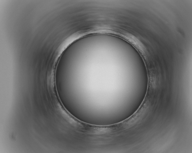 X0000113211382200909171525