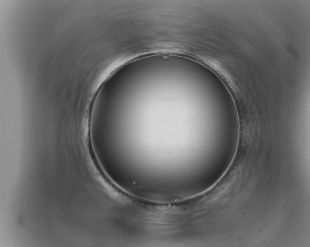 X0000113211383200909171525