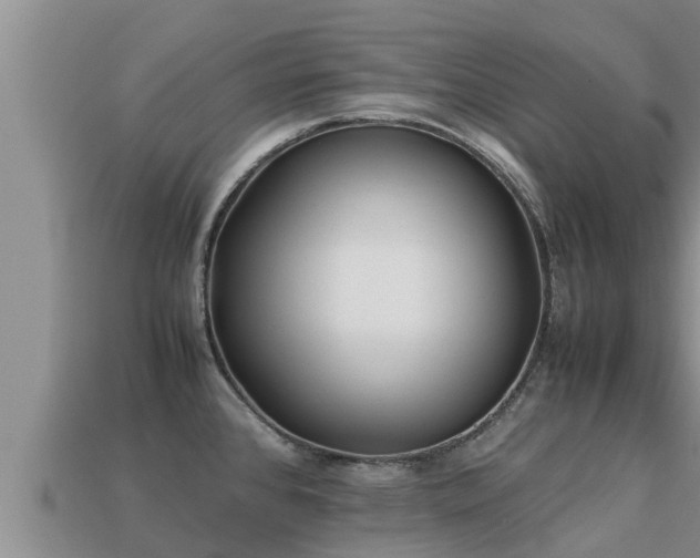 X0000113211384200909171525