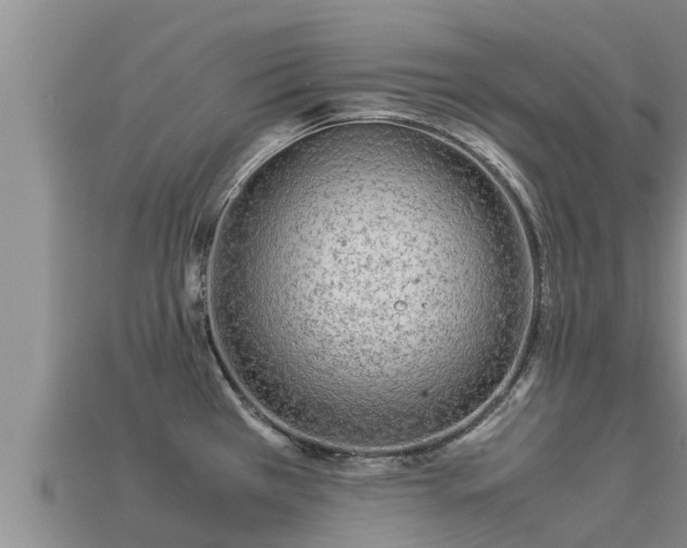 X0000113211385200909171525