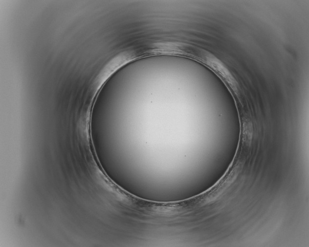 X0000113211386200909171525