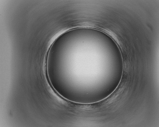 X0000113211387200909171525