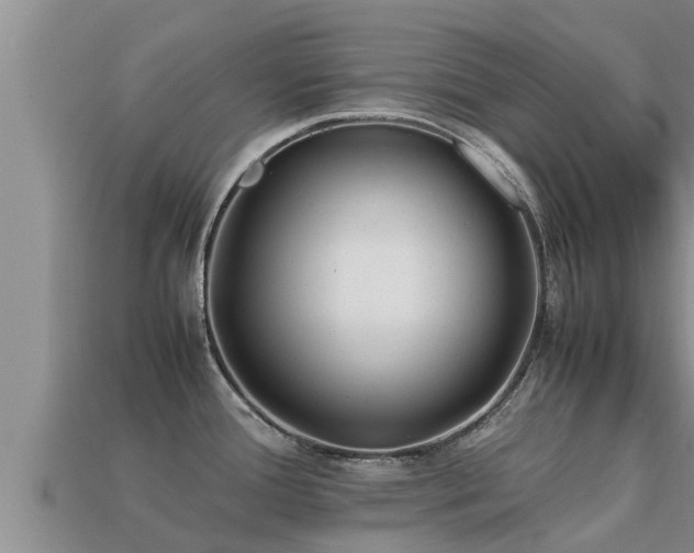 X0000113211388200909171525