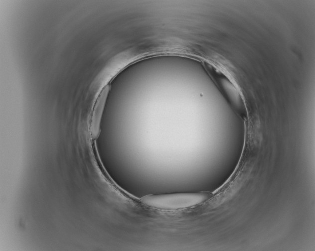 X0000113211389200909171525