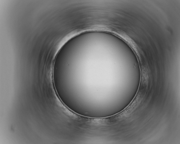 X0000113211390200909171525