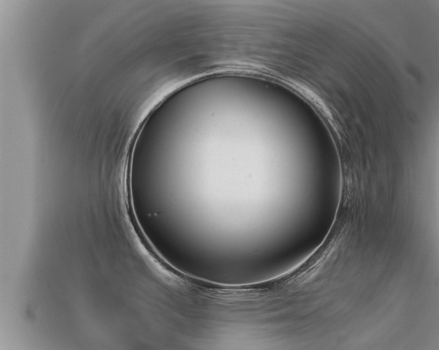 X0000113211391200909171525