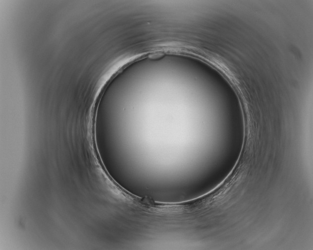 X0000113211392200909171525