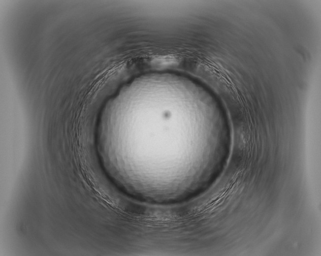 X0000113211393200909171525