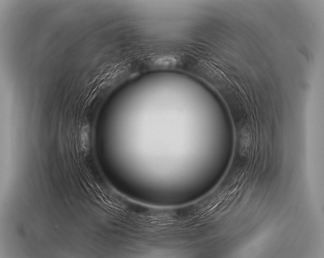 X0000113211394200909171525