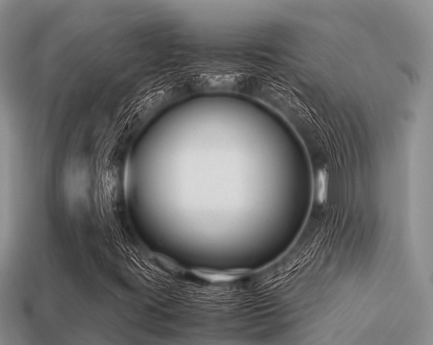 X0000113211395200909171525