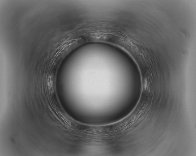 X0000113211396200909171525