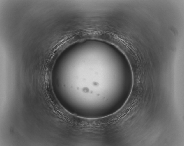 X0000113211397200909171525