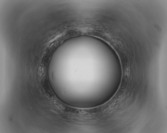 X0000113211398200909171525