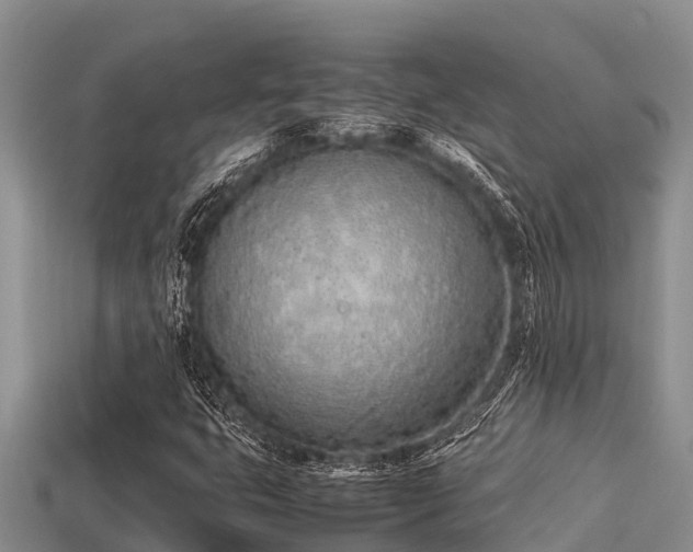 X0000113211399200909171525