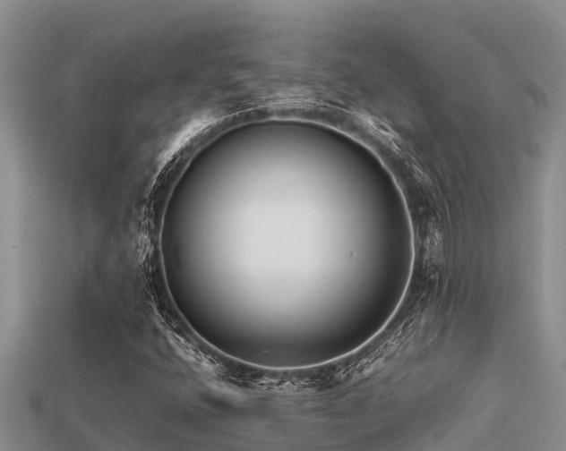 X0000113211400200909171525