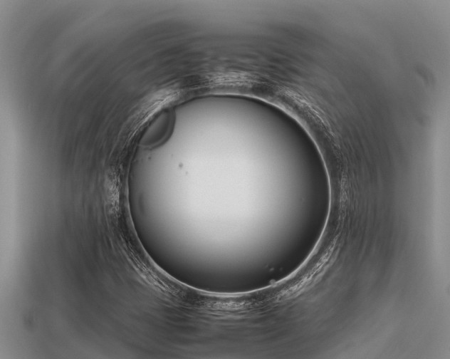 X0000113211401200909171525