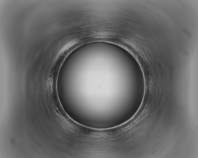 X0000113211402200909171525