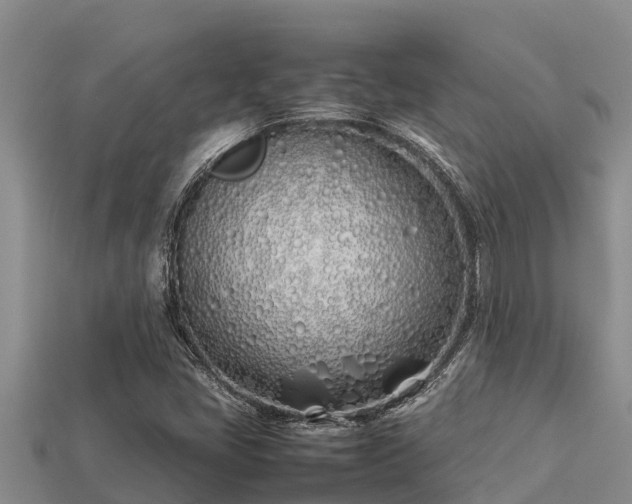 X0000113211405200909171525