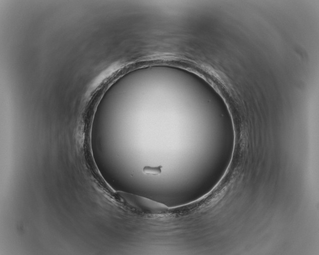 X0000113211406200909171525