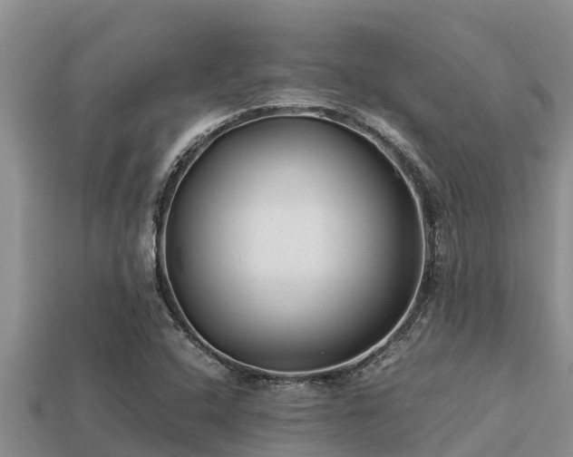 X0000113211408200909171525