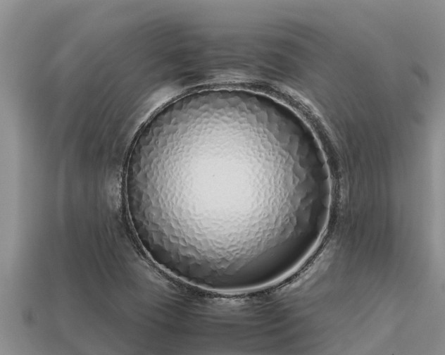 X0000113211409200909171525