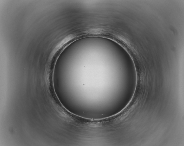 X0000113211410200909171525