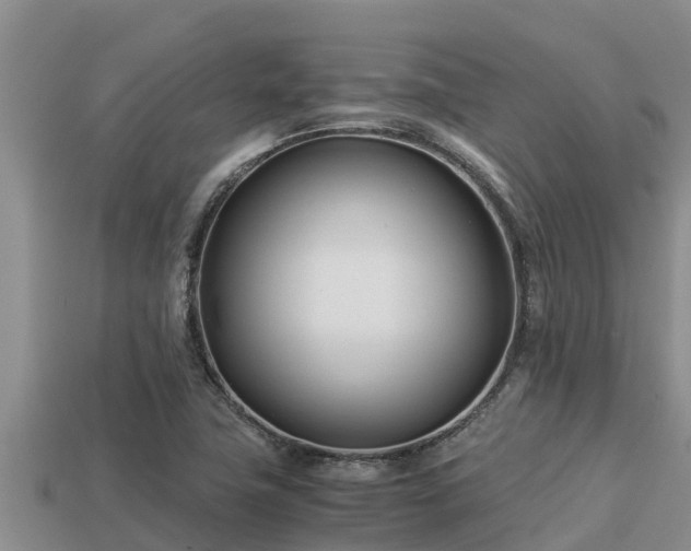 X0000113211411200909171525