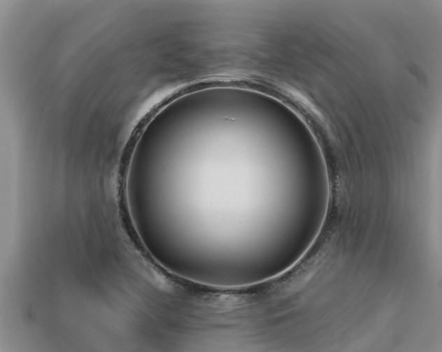 X0000113211412200909171525