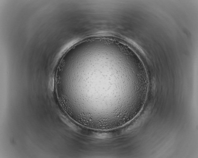 X0000113211413200909171525