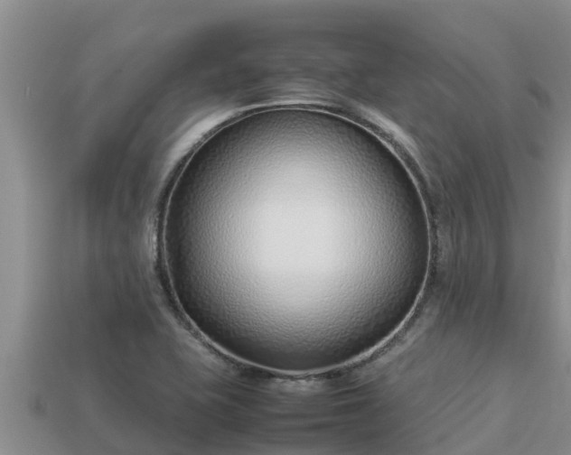 X0000113211415200909171525