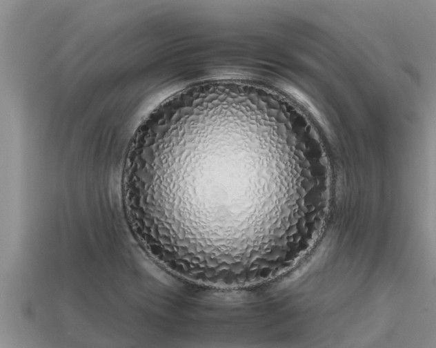 X0000113211417200909171525