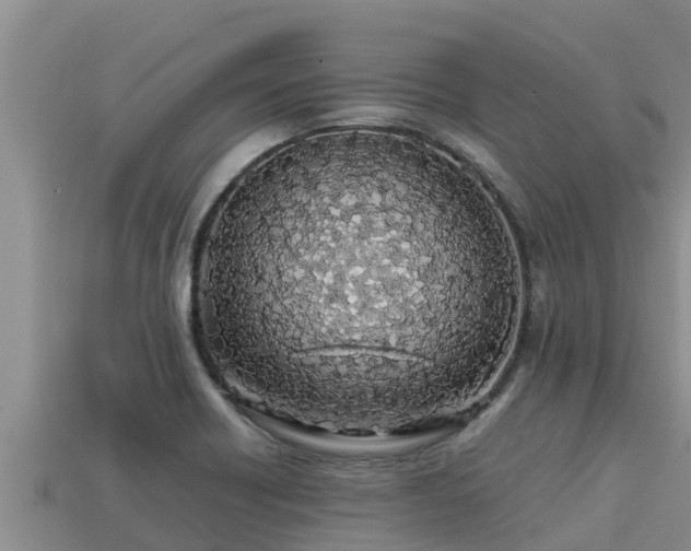 X0000113211418200909171525