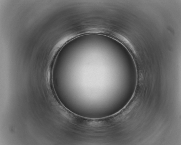 X0000113211419200909171525