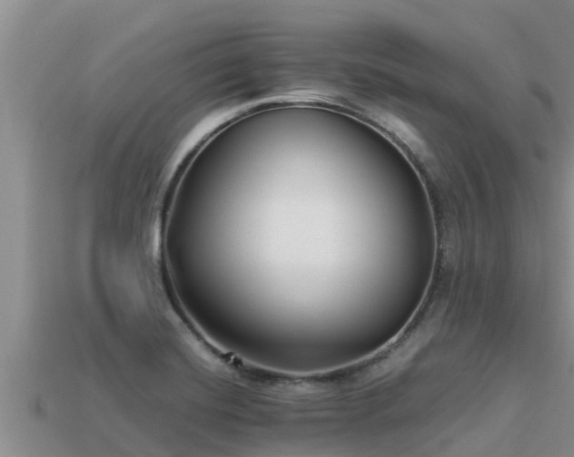 X0000113211420200909171525