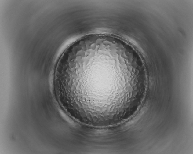 X0000113211421200909171525