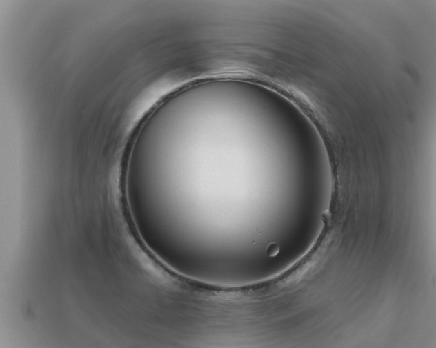 X0000113211422200909171525