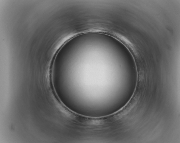 X0000113211423200909171525