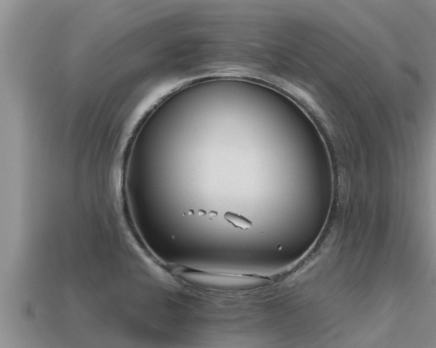 X0000113211424200909171525