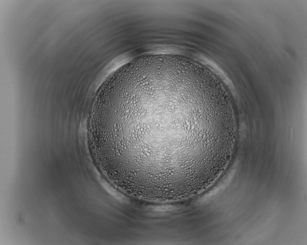 X0000113211425200909171525