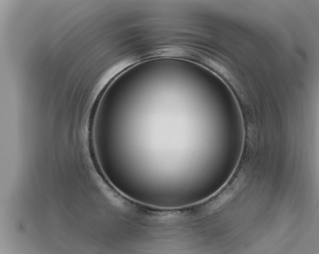 X0000113211426200909171525