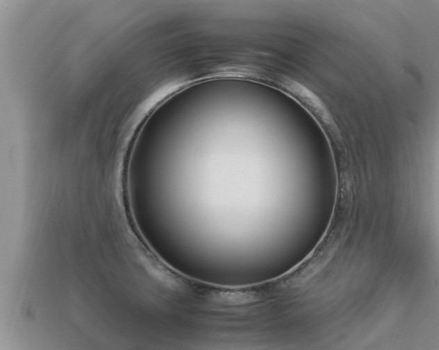 X0000113211427200909171525