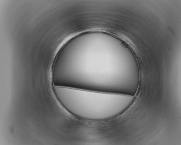 X0000113211428200909171525