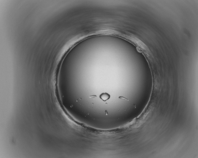 X0000113211430200909171525