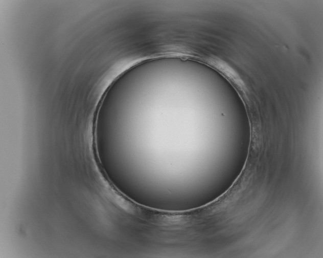 X0000113211431200909171525